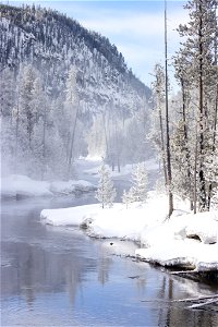 Steam rising from the Gibbon River (portrait)