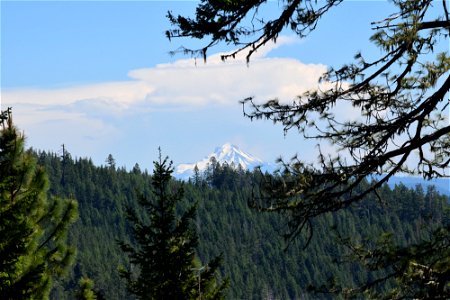 untitled-1162jpg_49364755392_o