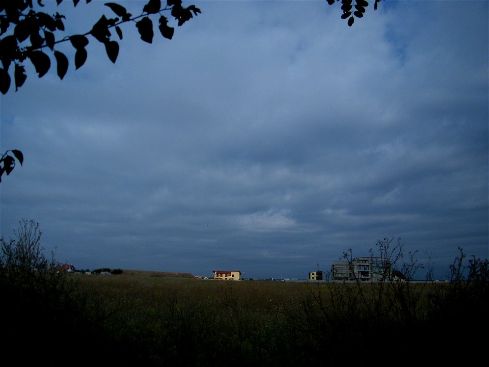 orizont2010_0830_085807(1)