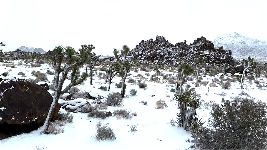 A Snow-Covered Landscape photo