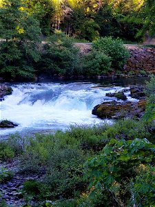 deadline-falls-may2018-judyjpg_49364490731_o