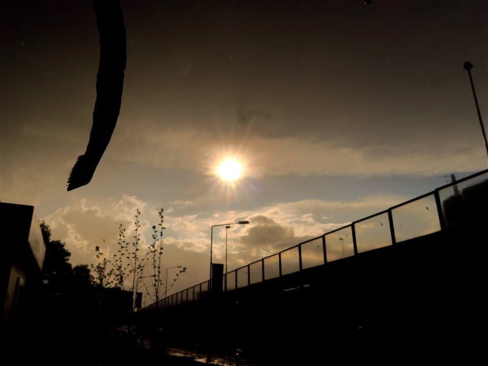 img_4614_50346616492_o