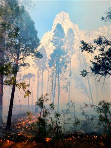 Yosemite Valley Prescribed Burn photo