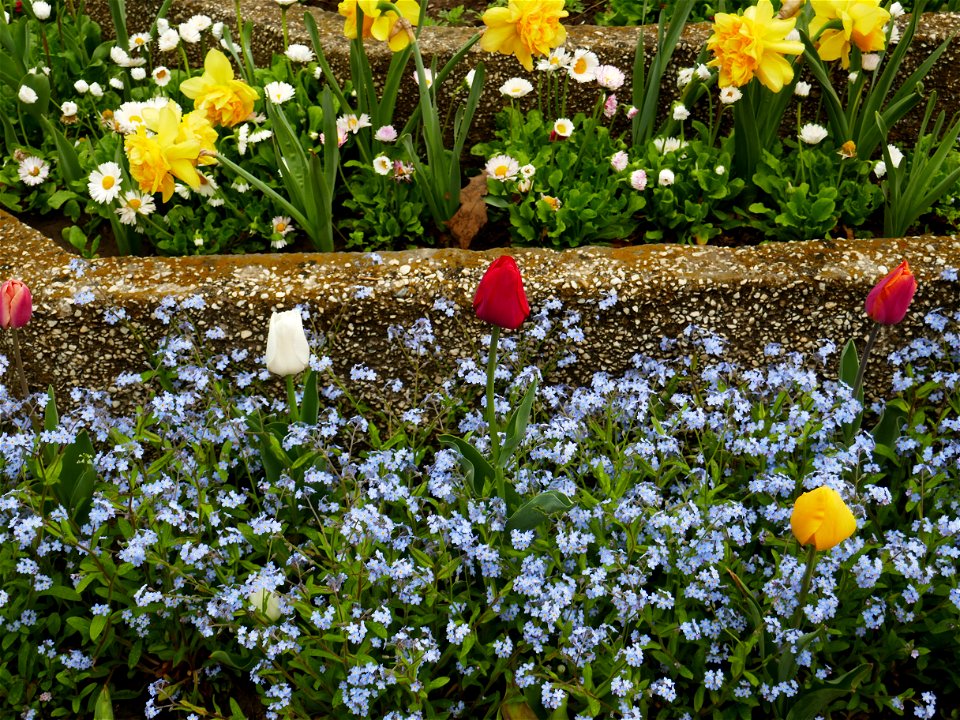 Herestrau Park in spring (78)