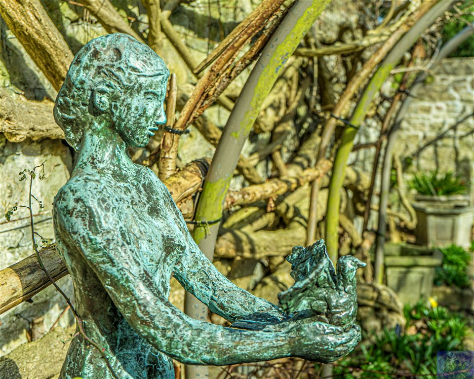 Dove of Peace Bronze Sculpture Maidstone