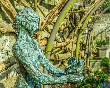 Dove of Peace Bronze Sculpture Maidstone