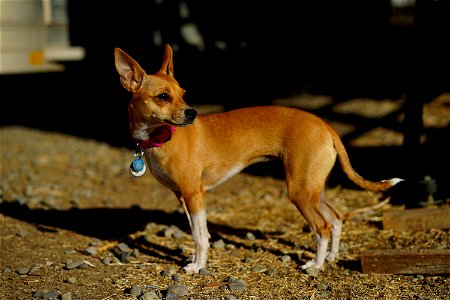 DSC08794_v1