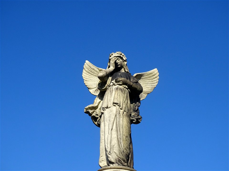 Cimetière Namur "DDB" (dit de Belgrade)
