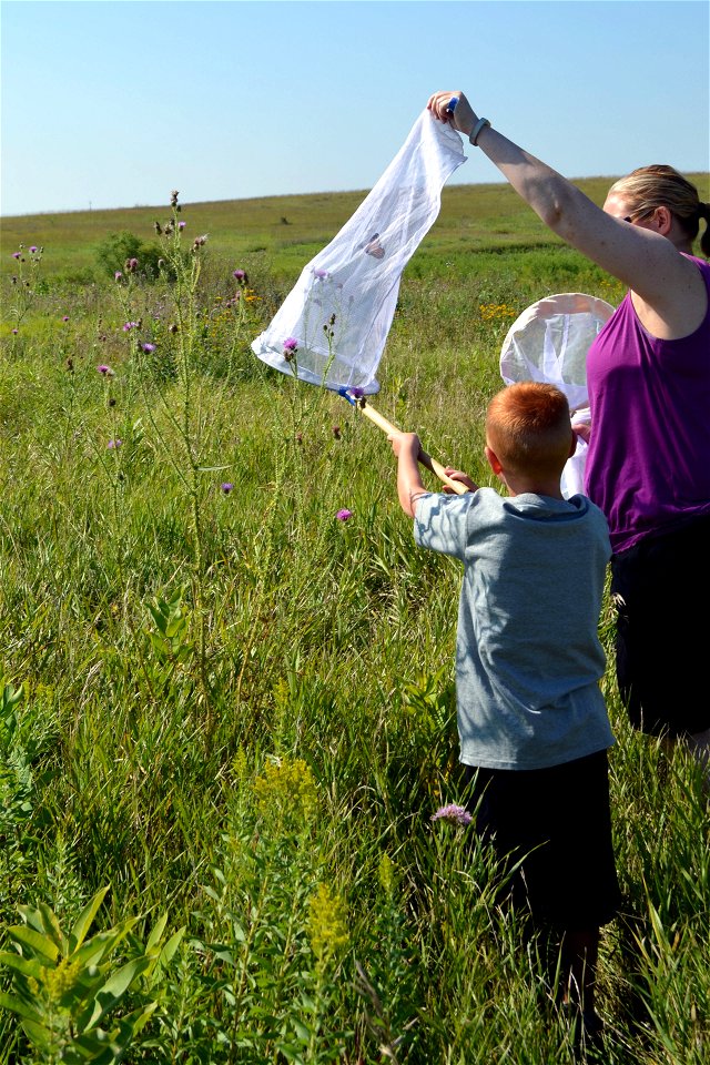PWLC Monarch Tagging