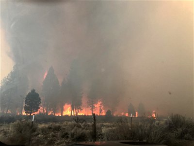 Ponina Fire photo