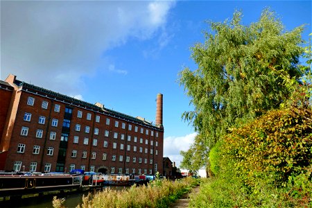 Macclesfield Old Hovis Mill - Cormorant 1 photo