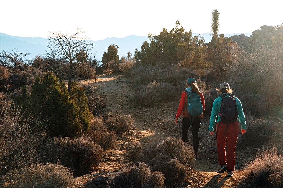 Hiking the Covington Crest trail photo