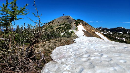 HART PASS - SLATE PEAK (07-19-2022) okanogan co, wa -06 photo