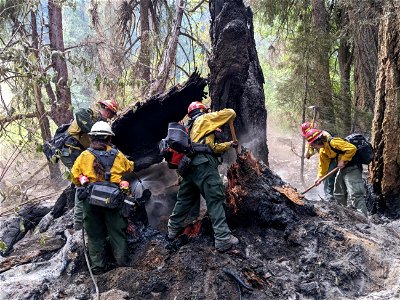 MopUp1 Potter Fire 220908