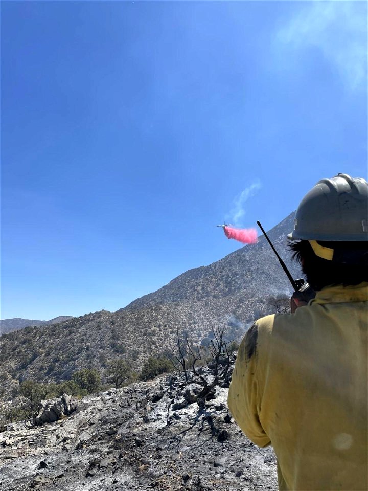 Sandy Valley Fire
