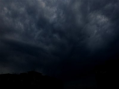 nori-Vitan2015_0520_172640