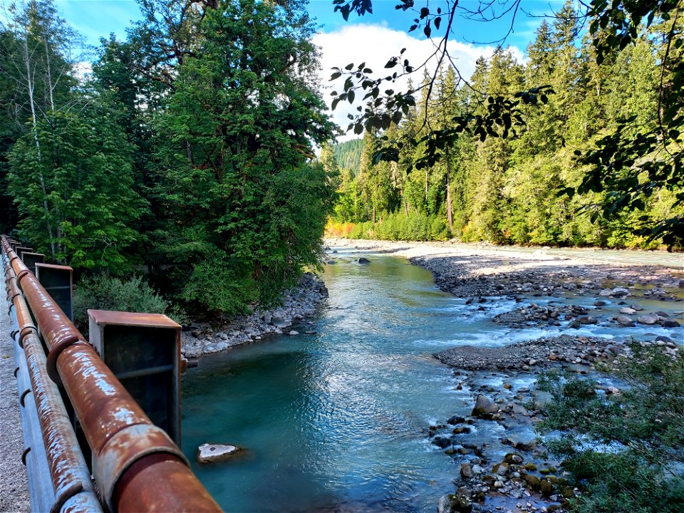 Sauk River from the Clear Creek Bridge, Mt. Baker-Snoqualmie National Forest. Photo by Anne Vassar Sept. 13, 2021.