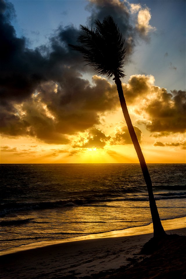 Bávaro Sunrise, Dominican Republic