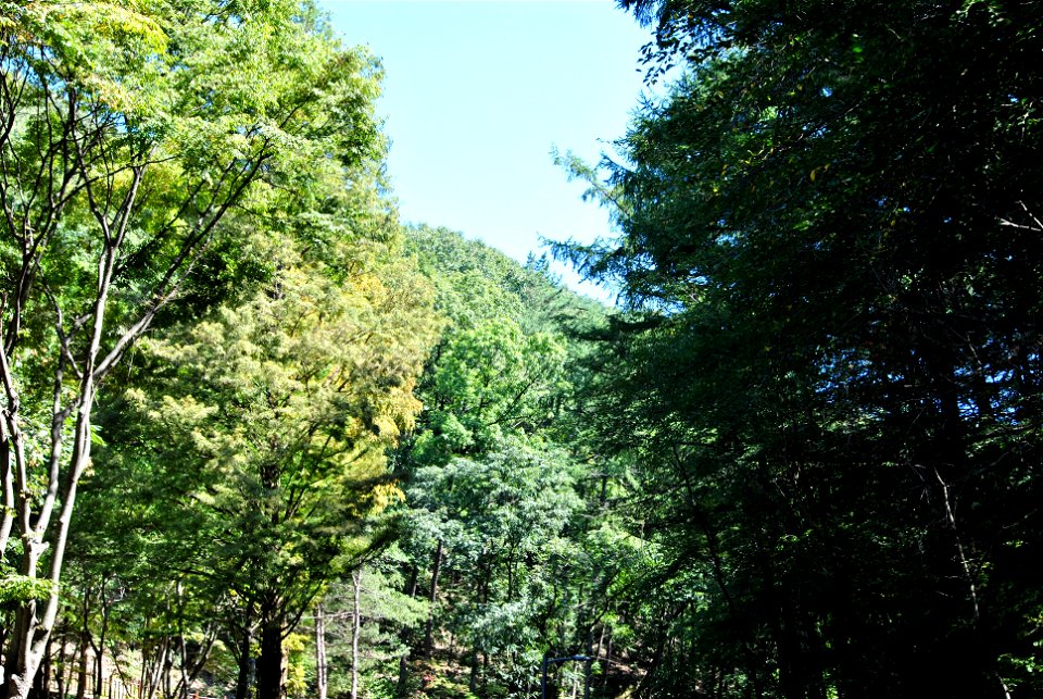 Teajosan Mountain Hiking