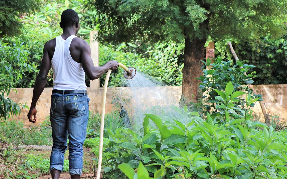 Farmer gardener garden photo