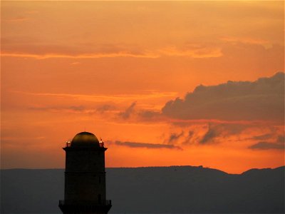 P1000638