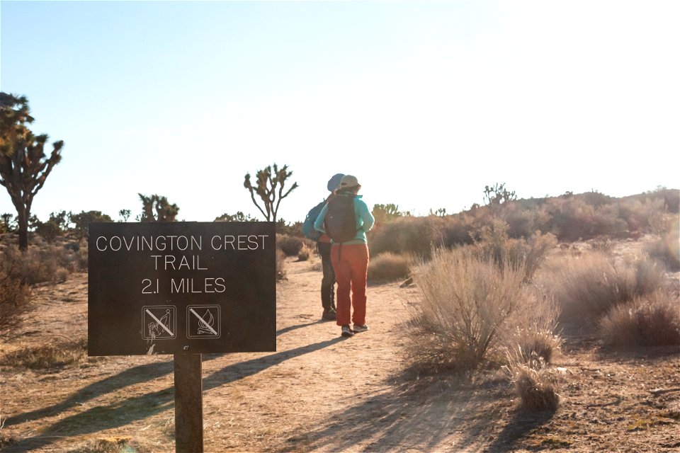 Hiking the Covington Crest trail