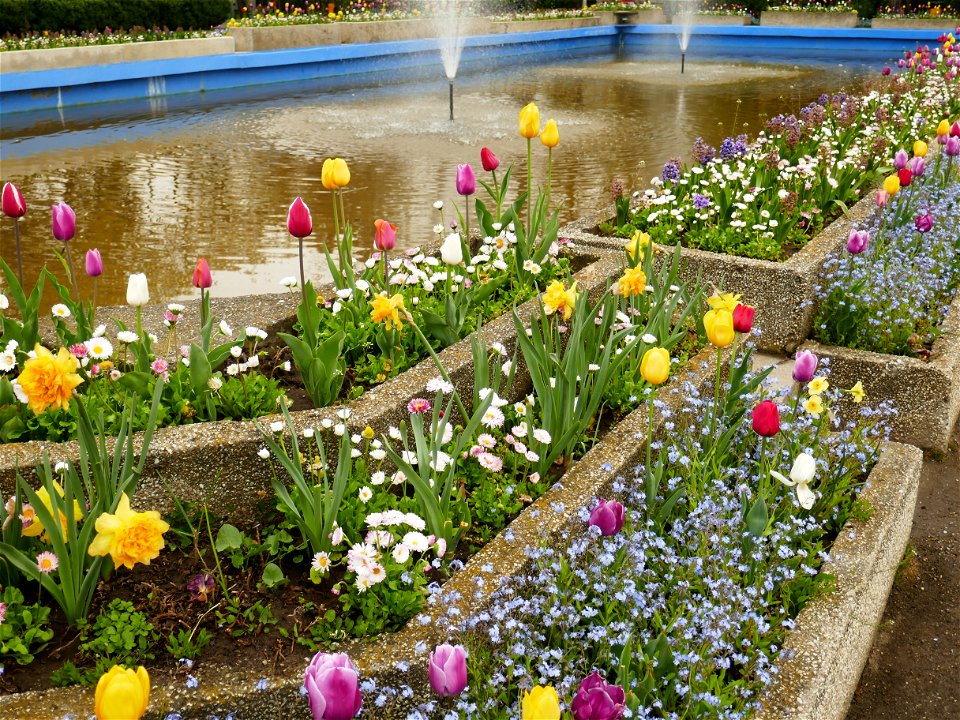 Herestrau Park in spring (109)