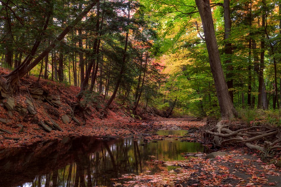 Sawmill Creek