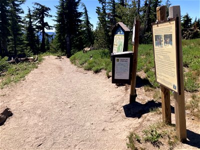 20210715-FS-Mt Hood- Pacific Crest Trail enters Mt Hood Wilderness near Timberline. photo