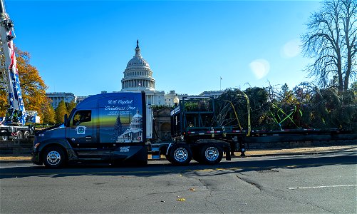 CapitolXmasTree-WashingtonDC-014