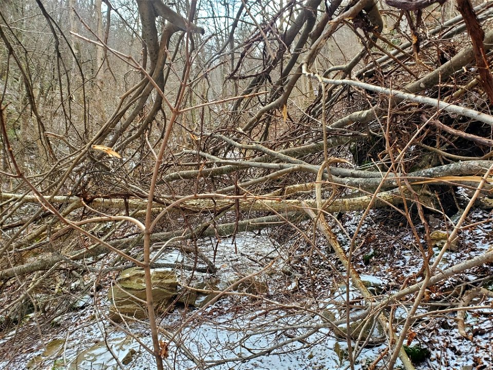 Dark Hollow Before (1)
