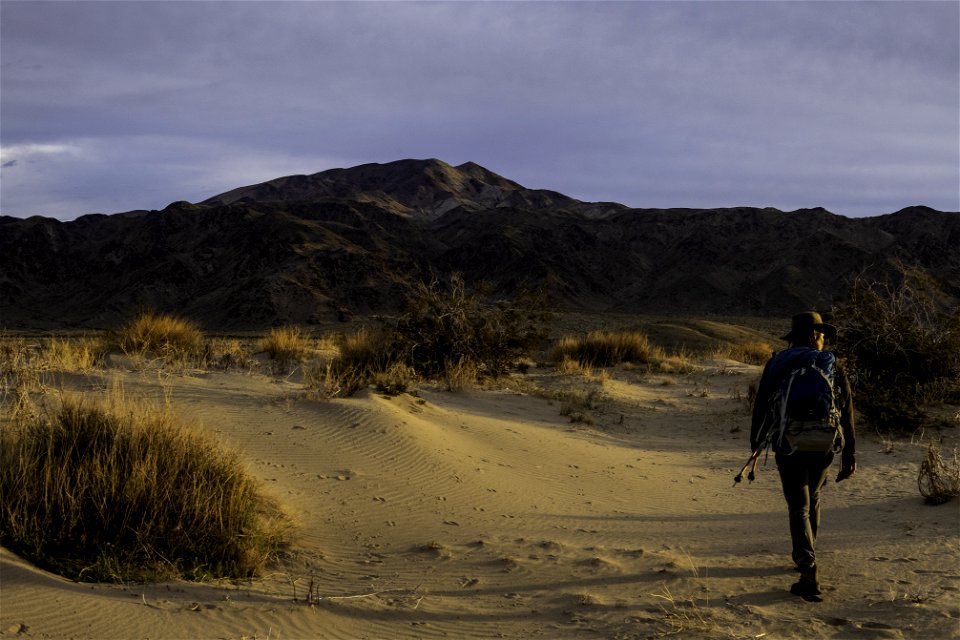 Researcher hiking in the Pinto Mountain and Turkey Flats area