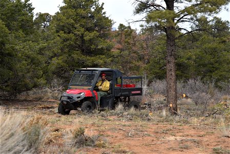 Ray Mesa Prescribed Burn Fall 2021