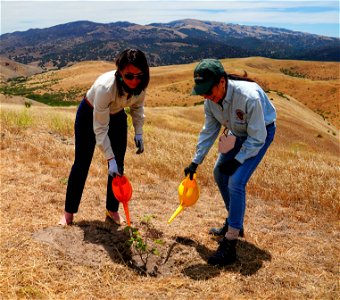 Tree Planting Ceremony at Fort Ord National Monument photo