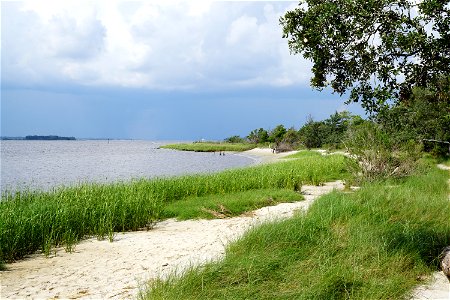 scene Carolina Beach SP KG (199) photo