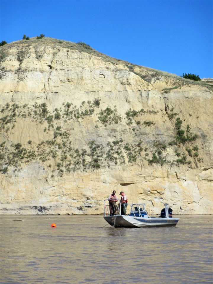 Trammel Netting in the Missouri River System