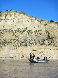 Trammel Netting in the Missouri River System photo