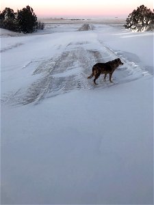 I Found the Road