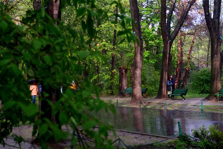 japanes_garden_rain_Herastrau (43)
