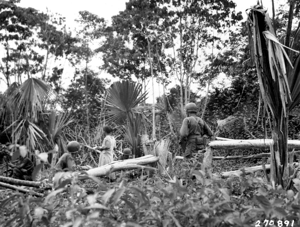 SC 270891 - A patrol of the anti-tank company, 34th Infantry, 25th Division, searches for evidence of atrocities mentioned by Filipinos who managed to escape, but find nothing.