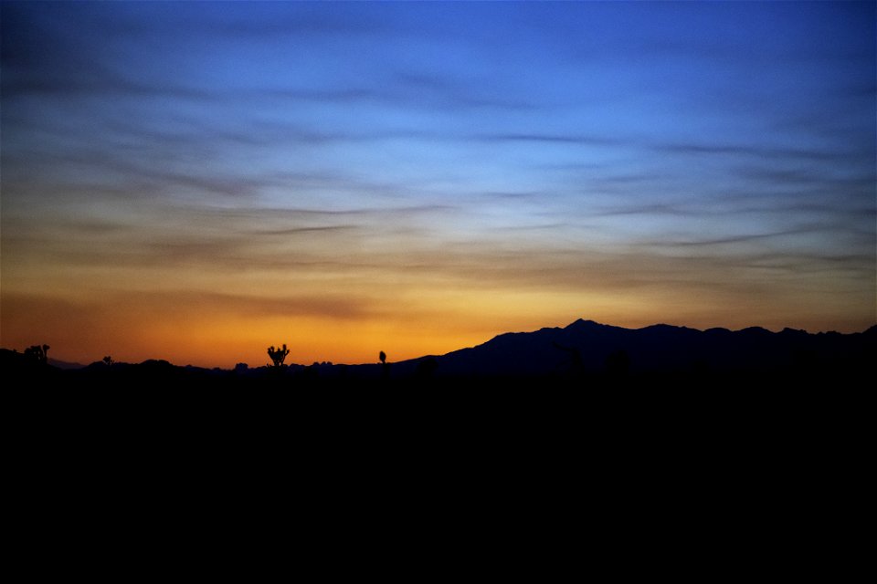 Sunset on Pinto Basin Road