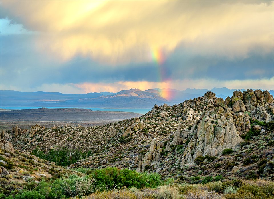 Winner: Rattlesnake Gulch