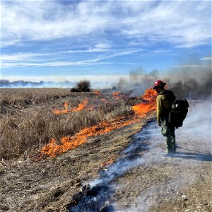 2021 BLM Fire Employee Photo Contest Winner Category: Fuels Management and Prescribed Fire