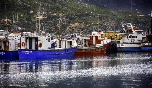 Fisherman's Blues and Reds photo