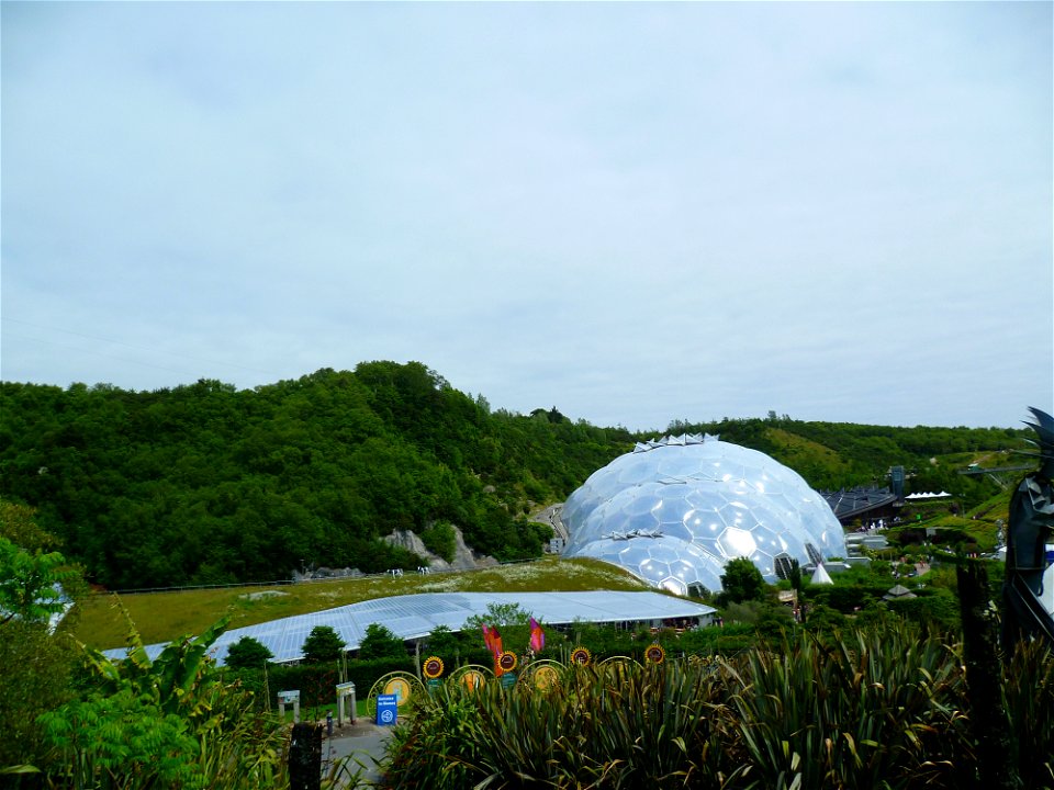 P1000423
