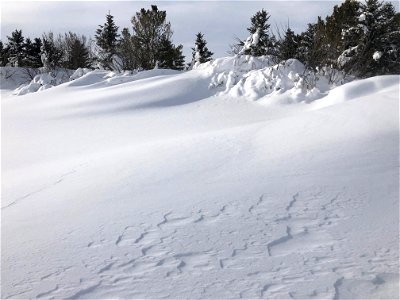 The Big Drifts Out Front