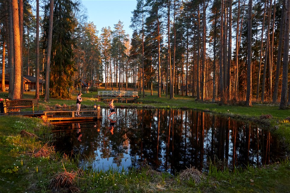 Urpolan Kartano Viikinkisauna, Humppila, Finland photo