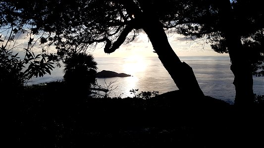 Cannelle, Centuri, Cap Corse