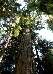 untitled-1348jpg_49364136883_o