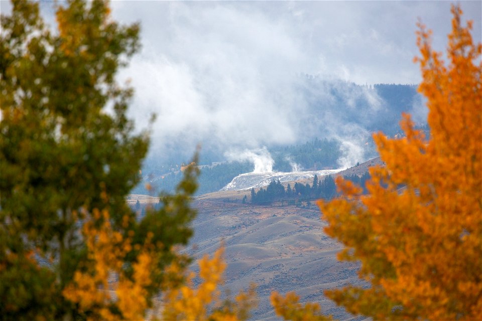 Canary Spring as seen from Custer Gallatin National Forest